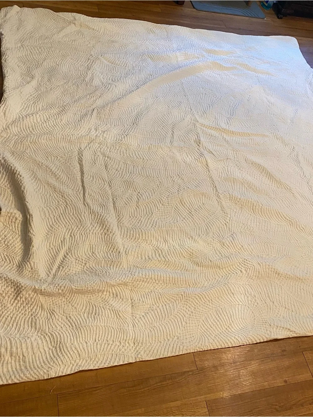 West Elm TRAILING FERN MATELASSE Duvet Cover Full/Queen In Ivory & 2 Euro Shams